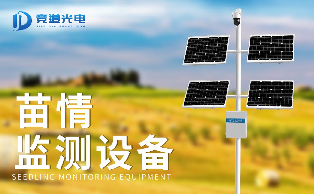 ũ����������վ����ϸ������ʲô