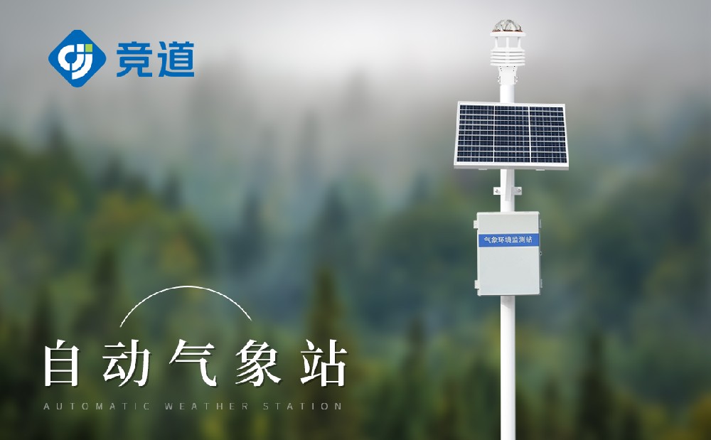  ���õ�������������Щ