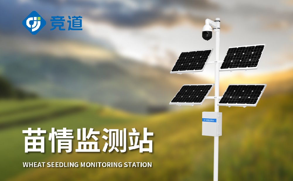 ������վ