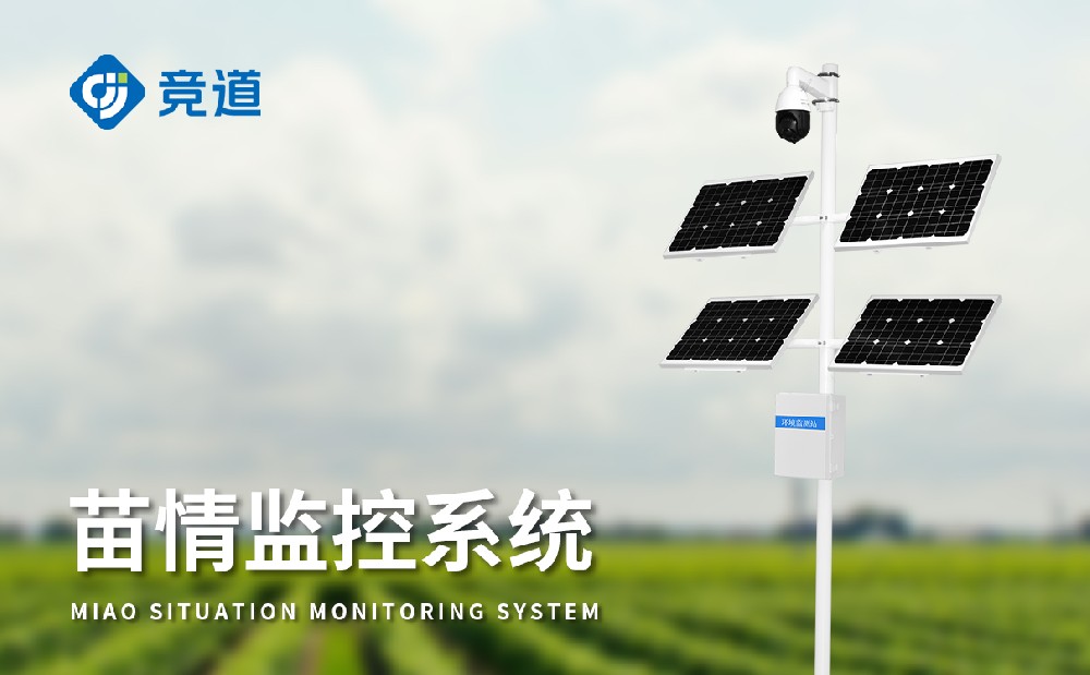 ������վ