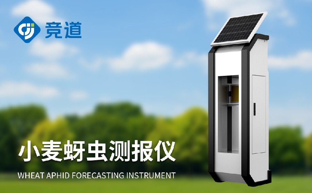 С����������