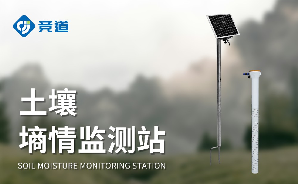 ��ʽ������������