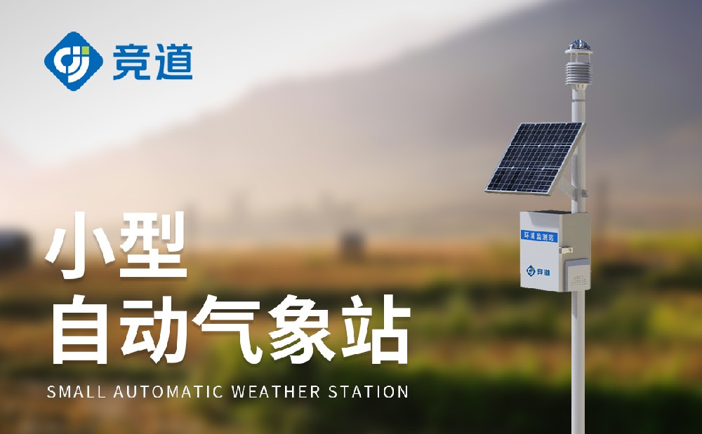 С���Զ�����վ