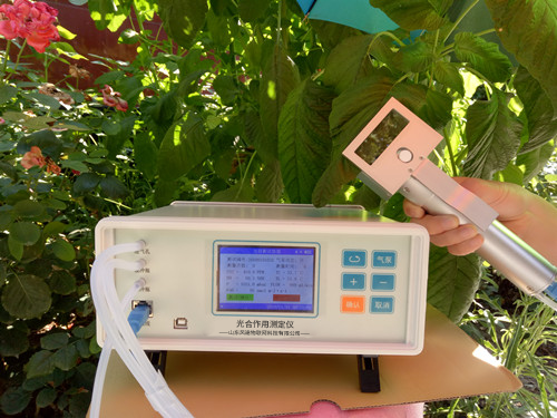 ֲ���������к�Ӧ����������