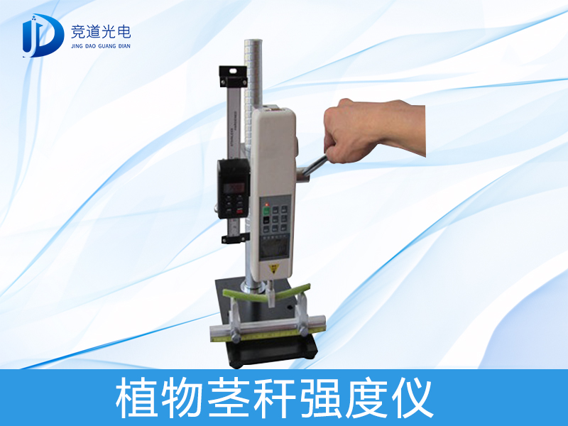 Ϊʲô�о�ֲ�ﾥ��ǿ������������