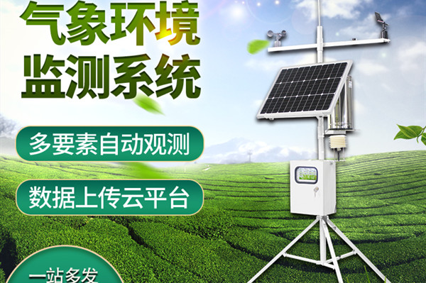 С�������Ӳ�վ����������Щ����������