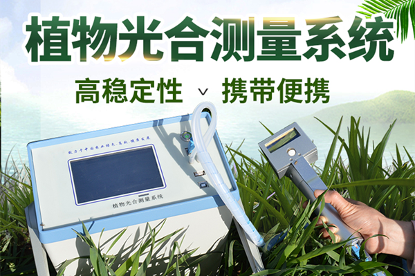 ��Яʽ�����-�������òⶨ��