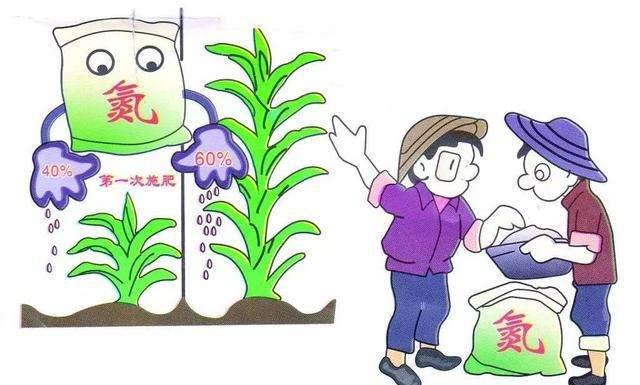 �������װ������