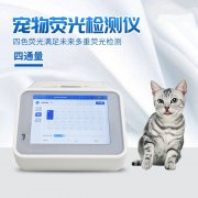  ����ӫ�����������ǳ���