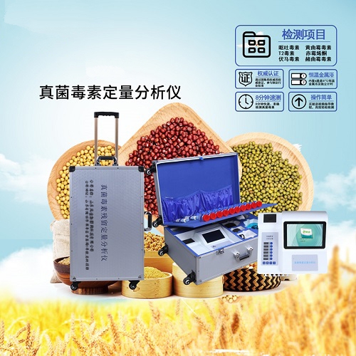 ������ؼ����JD-ZJĥ��������T2����