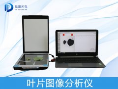 ҶƬͼ�������������ģ���������