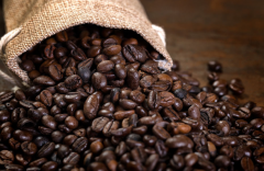 ���Ȳ���������������������ʳ���徲