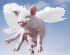 ���������׻������÷��������ļ����������������